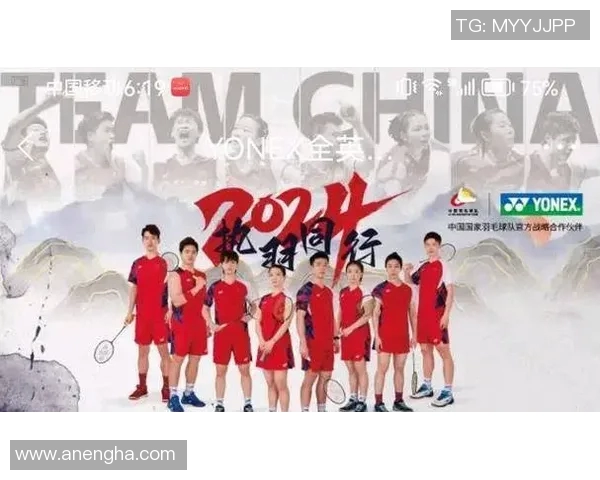 北京羽毛球队在冠军赛中的耐力与毅力表现分析与总结