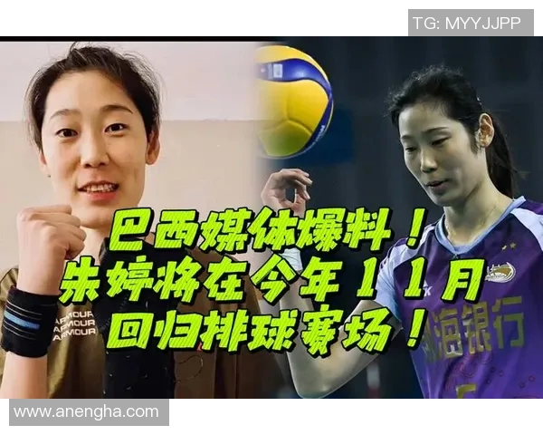 张军的排球之路：从赛场到人生的精彩对话