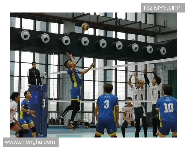 武汉排球队比赛经验分析及其对未来表现的影响研究