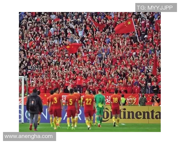 武汉网球队拼搏精神在世界杯预选赛中的精彩历程与奋斗故事