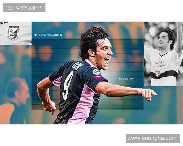 法国足球明星的传奇故事与辉煌成就盘点