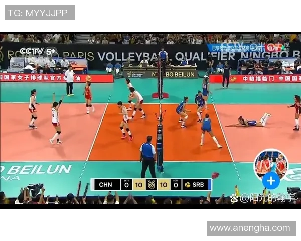 西安排球队实力引发热议球迷对战术选择和球员表现展开激烈讨论