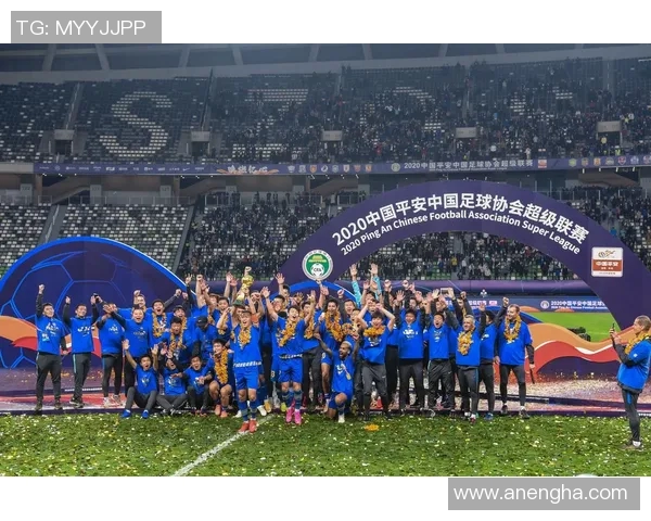 南京足球队在冠军赛中的意识表现分析与总结