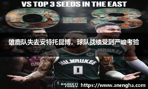zoty中欧
