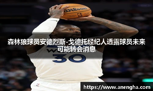 森林狼球员安德烈斯-戈德托经纪人透露球员未来可能转会消息